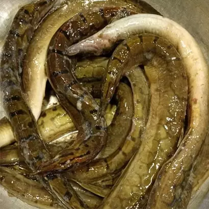 Baim fish  1 kg(Big size)